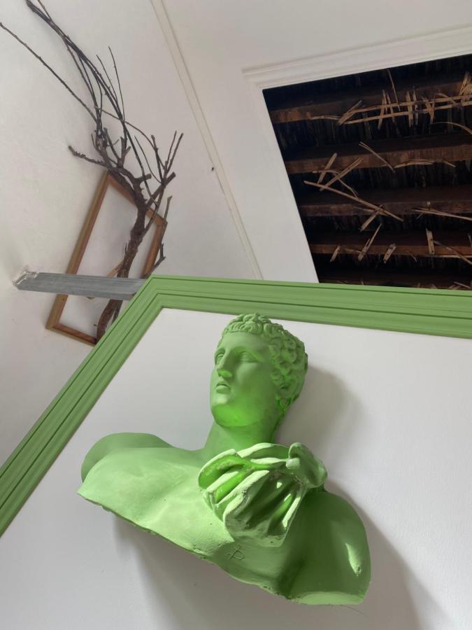 Tenerife Art Hostel サンタクルスデテネリフェ エクステリア 写真