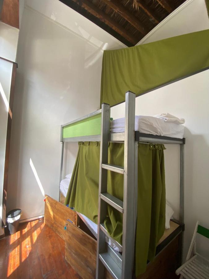Tenerife Art Hostel サンタクルスデテネリフェ エクステリア 写真